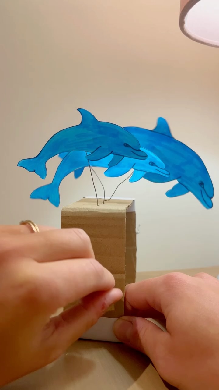 DIY Rotating Dolphin Animation Box Tutorial