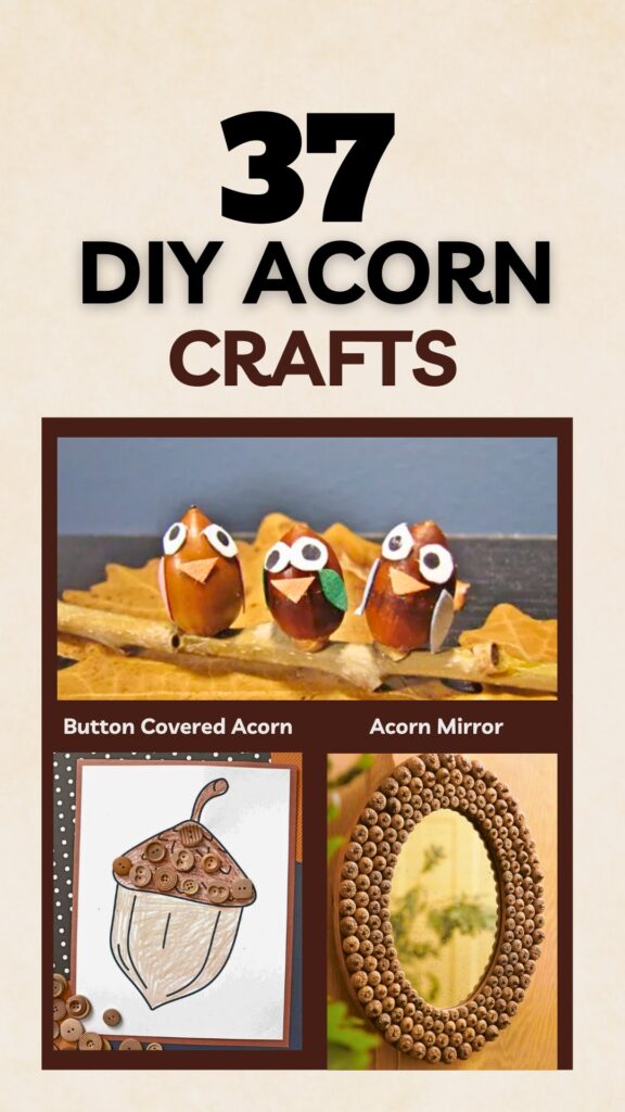 Acorn Craft Ideas