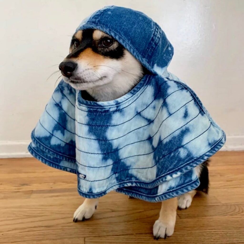 Pet Shirt