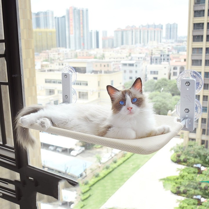 45+ Best Cat Hammock Ideas for Small Spaces, Windows, Wall-Mounted, Under-Chair and Modern Homes