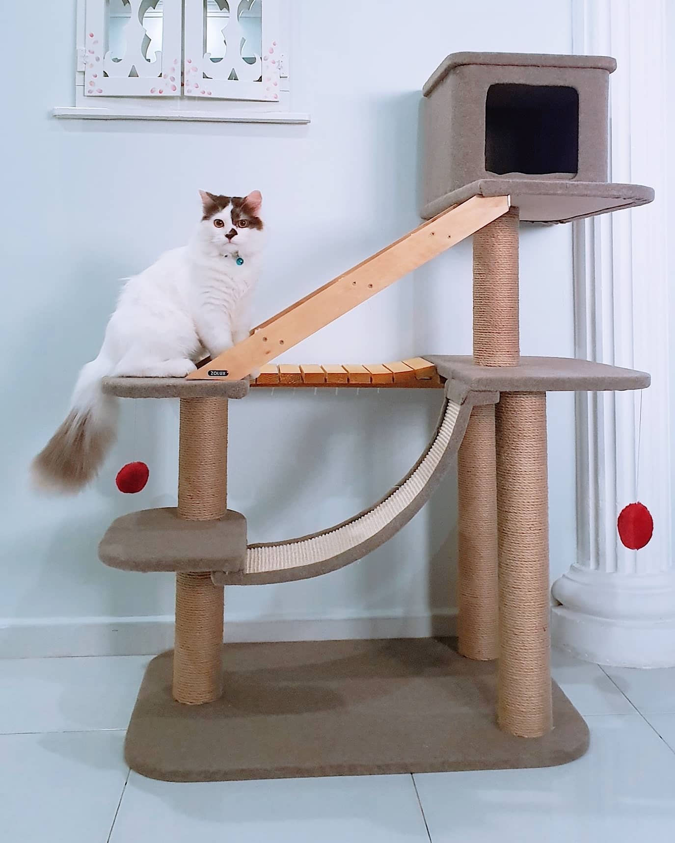 12+ Cat Condo Ideas That Combine Comfort, Climbing, and Enrichment